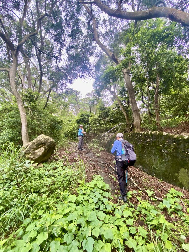 三義基石巡禮-鯉魚潭(南片山).枕頭山.楓樹龍(魚藤坪山).四分山(八櫃山).伯公坑 2023523_2161877