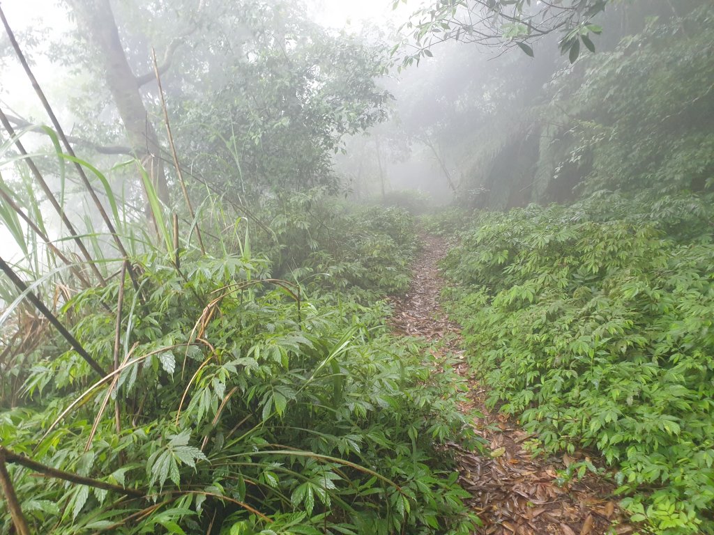 20220430協雲宮起登走新田山步道(新石門山、和興山、沖庫山)+八角崠山_1732855