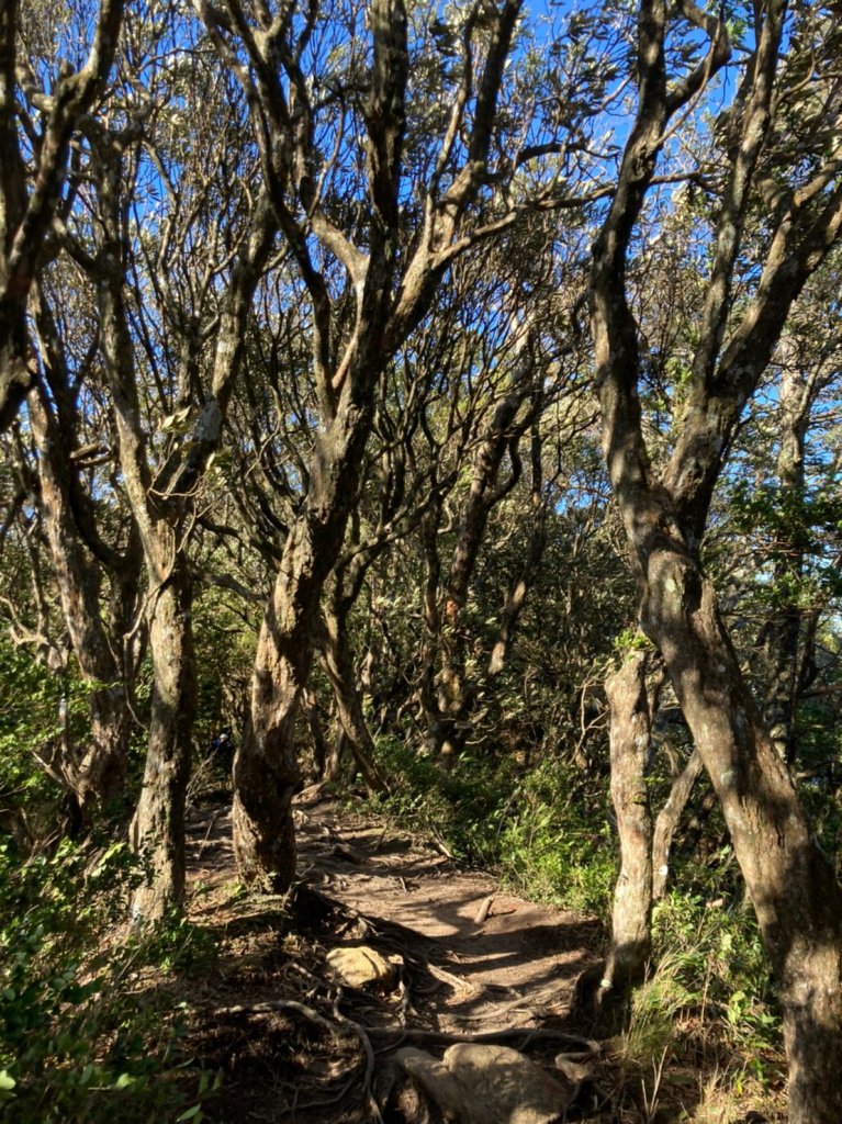 [新竹] 北得拉曼 內鳥嘴山_1982808