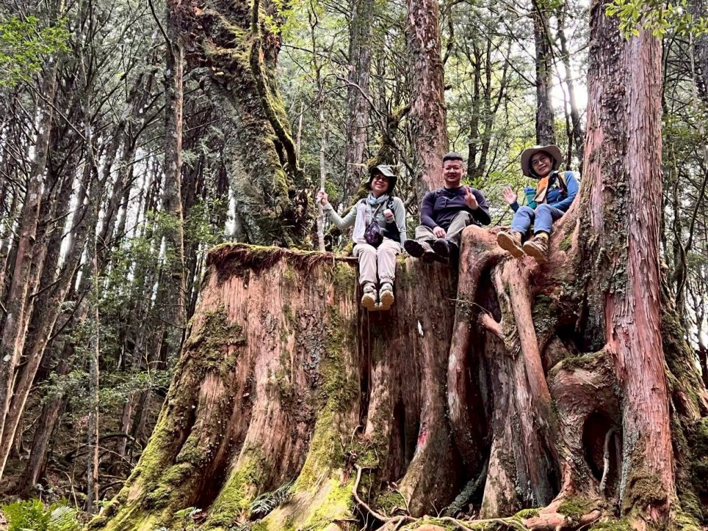 🌈11/15（六）松鶴上八仙山下森林遊樂區✨FB：熊熊趴爬走🌈_2937653