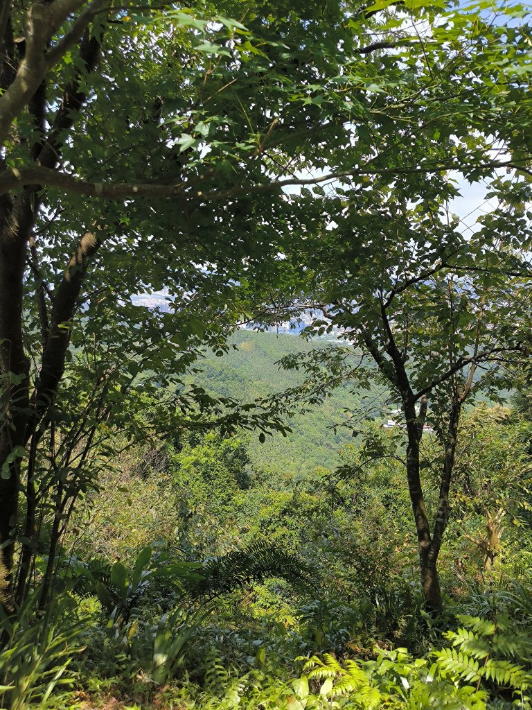 20250830天上山、旺旺嶺、太極嶺_2874082