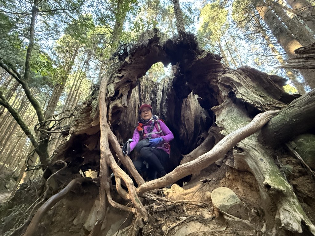 特富野古道_2666645