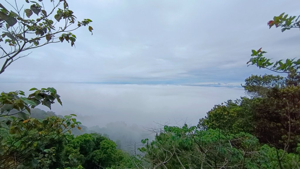 大坑頭嵙山出大景（山嵐海）封面圖