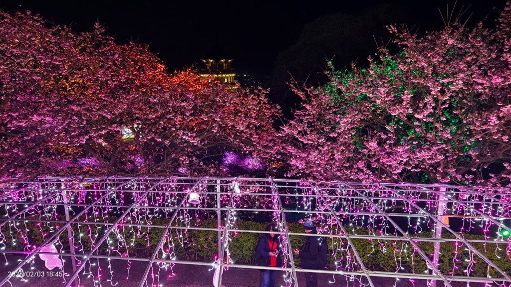 天元宮了嗎？2/3&10&14_2992793