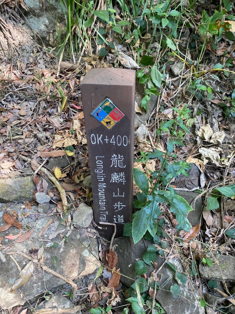台南-南化-龍麟山步道_2371623
