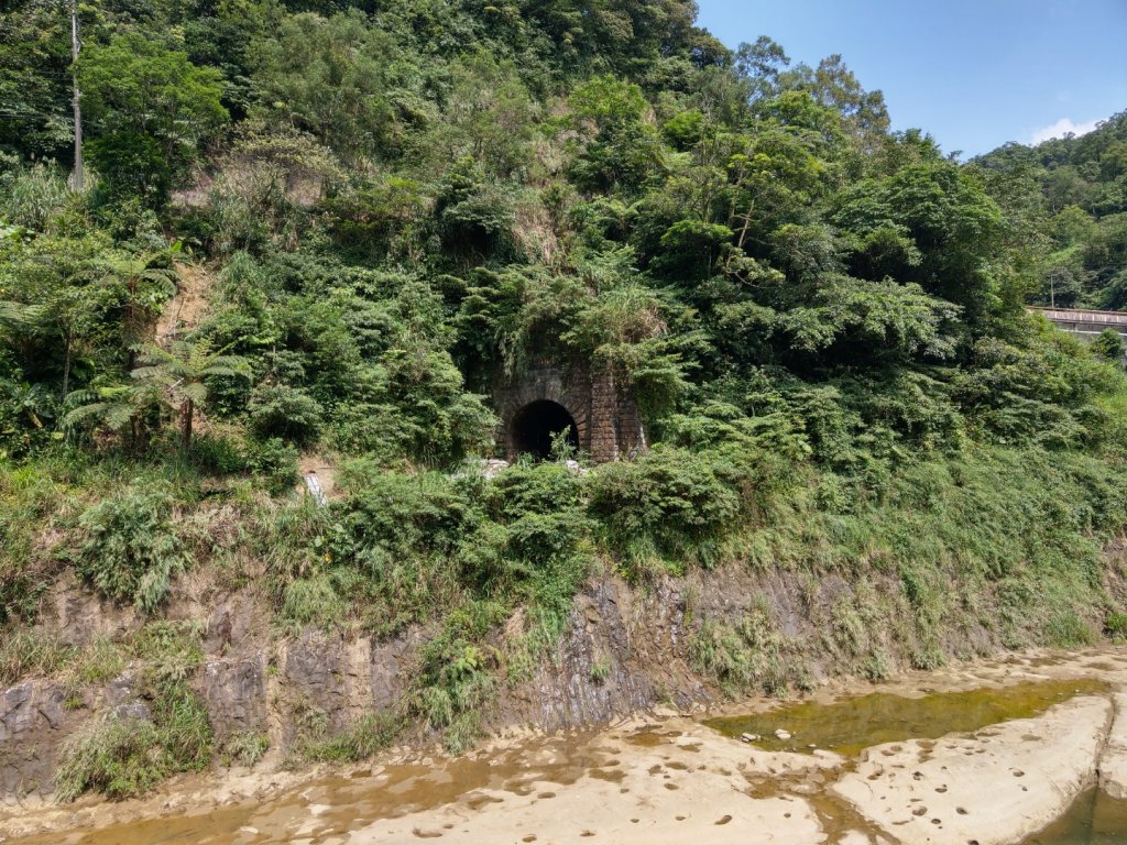 幼坑古道封面圖