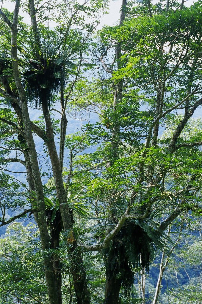 哈盆古道_1959531