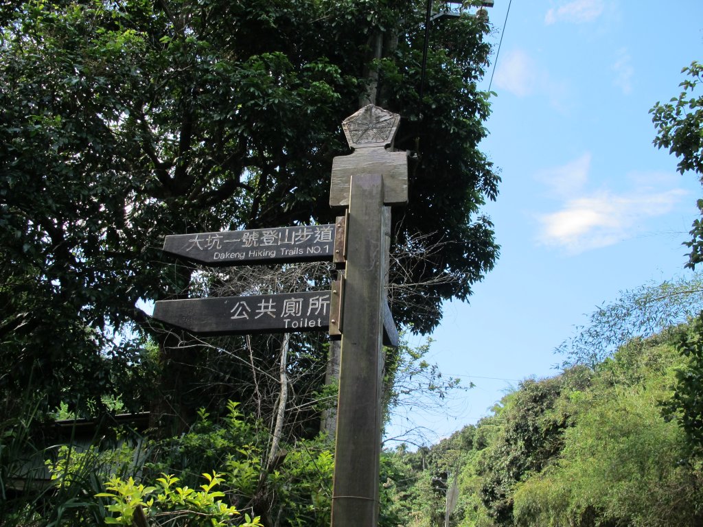 2020-06-05 大坑1號步道封面圖