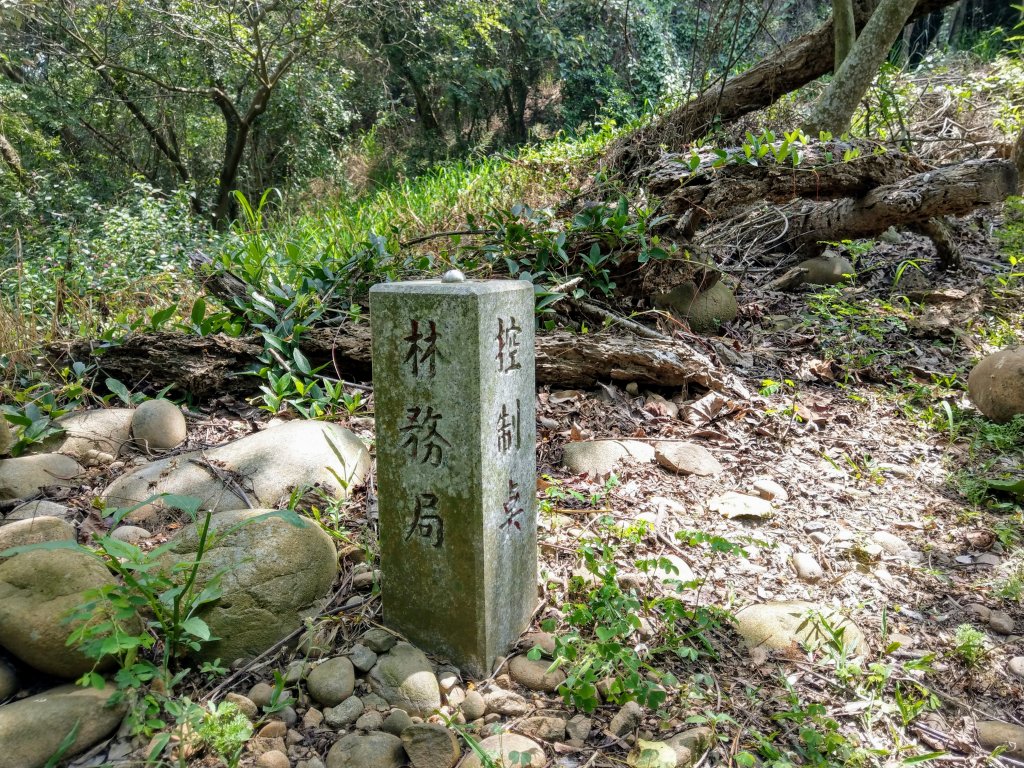 鐵砧山(小百岳#38)輕鬆行_943249