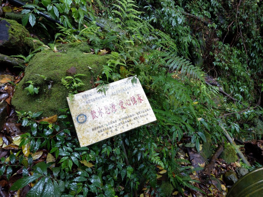 2018.04.07復興三尖-那結山_1005325