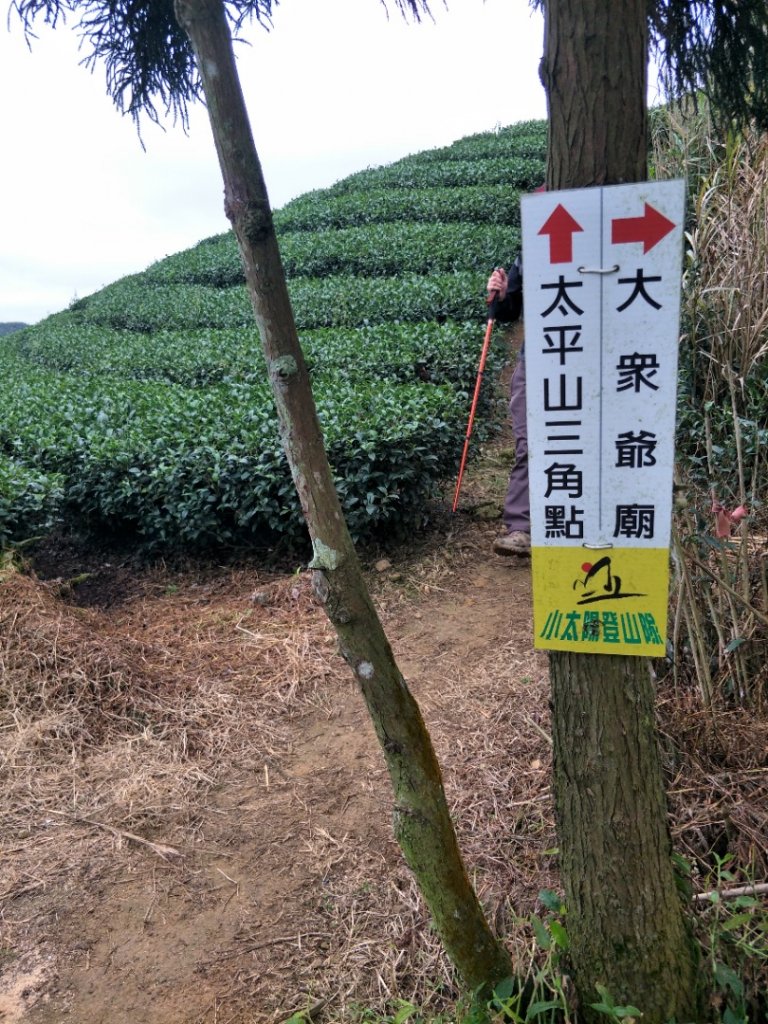 雲嘉七連峰_1560694