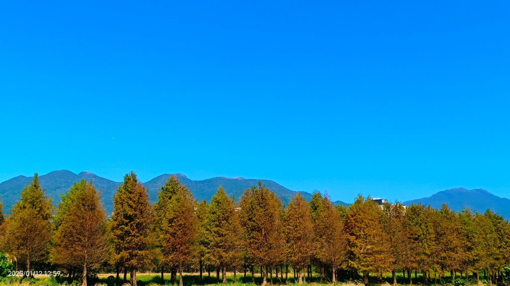 暖暖冬陽北投趴趴走，農禪寺/三層崎/貴子坑 #雪貂 #寵物貂_2686704
