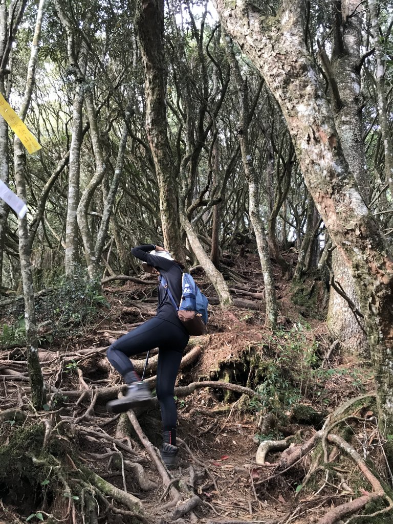 登山野營兩相宜~高島縱走_1488859