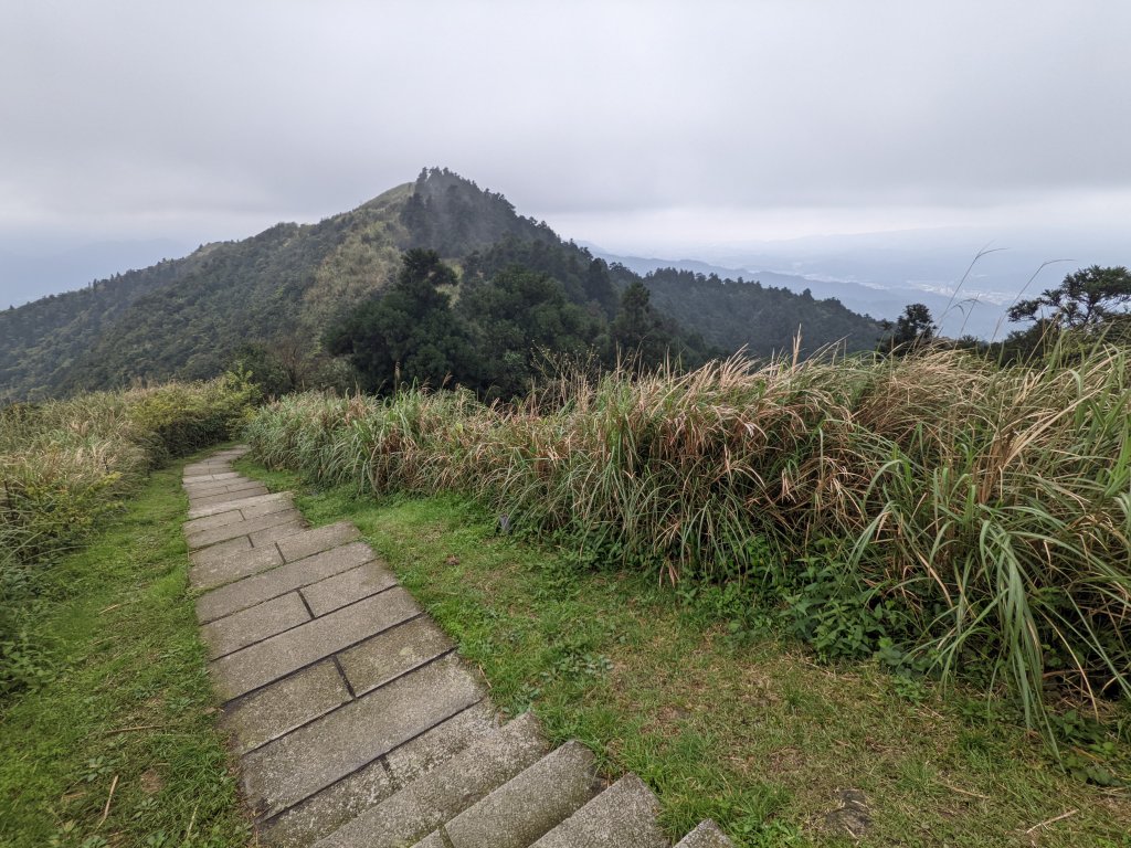 龍門山五分山封面圖