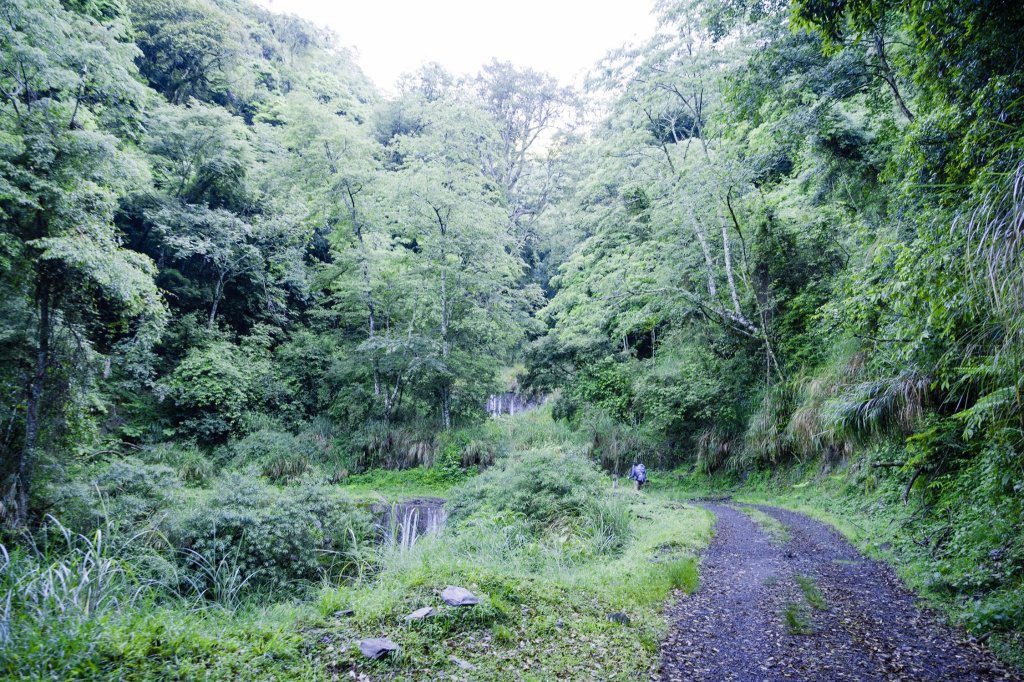 大霸群峰 ｜百岳之路II_1000889