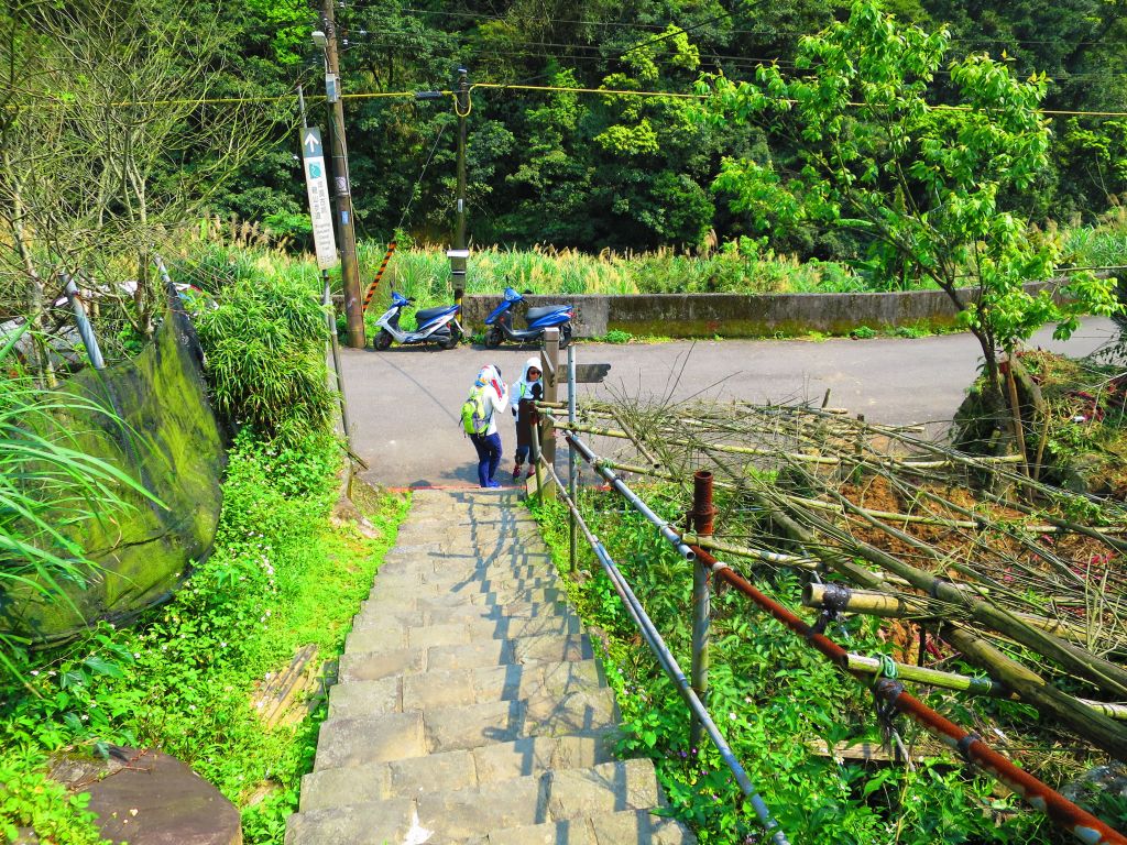 漫步大崎頭步道 一探台北市梯田美景_290946