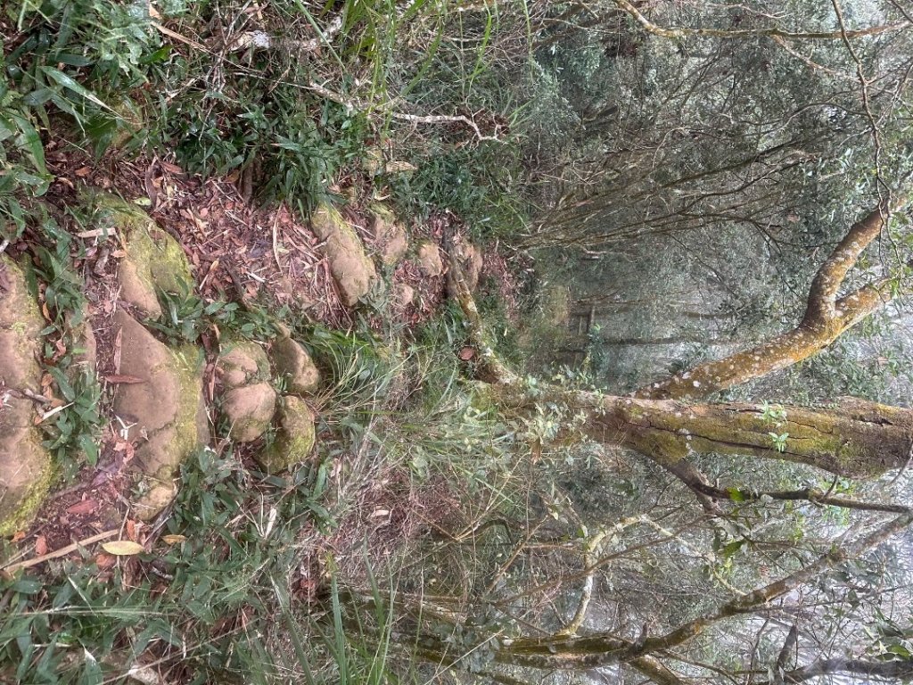 九份二山_2601166