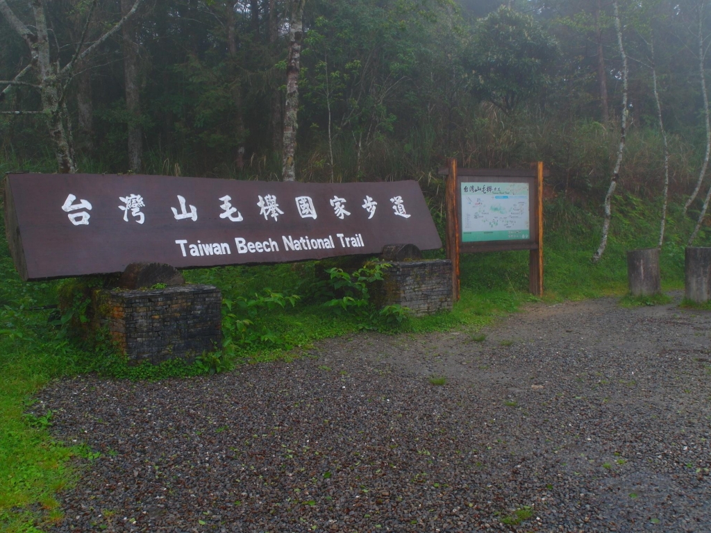 太平山之台灣山毛櫸國家步道封面圖