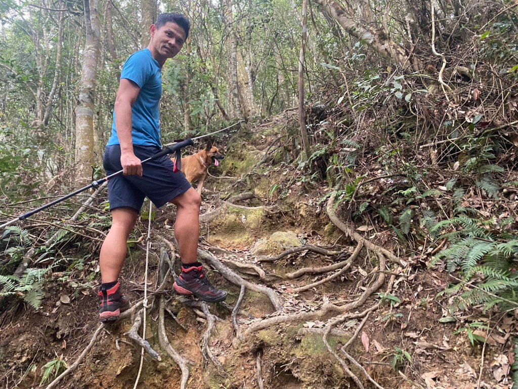 阿冷山【好酒沉甕底的隱藏版魔王】_2649272