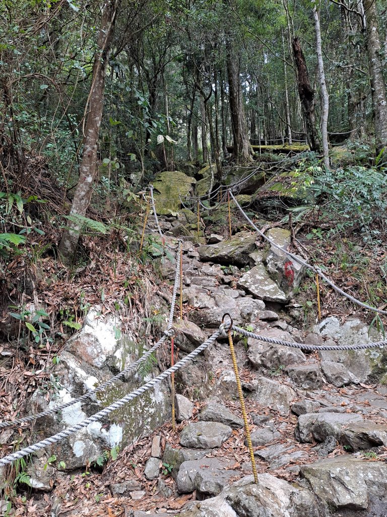 鳶嘴稍來(下稍來南稜)_2010330