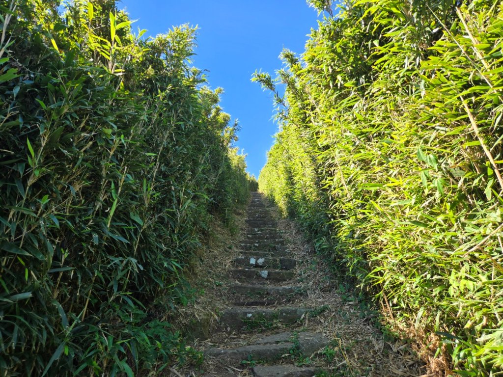 大屯主峰-連峰步道環形（小百岳）_2904324