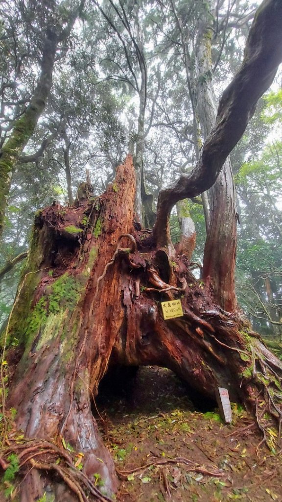 高島縱走20211023_1617905