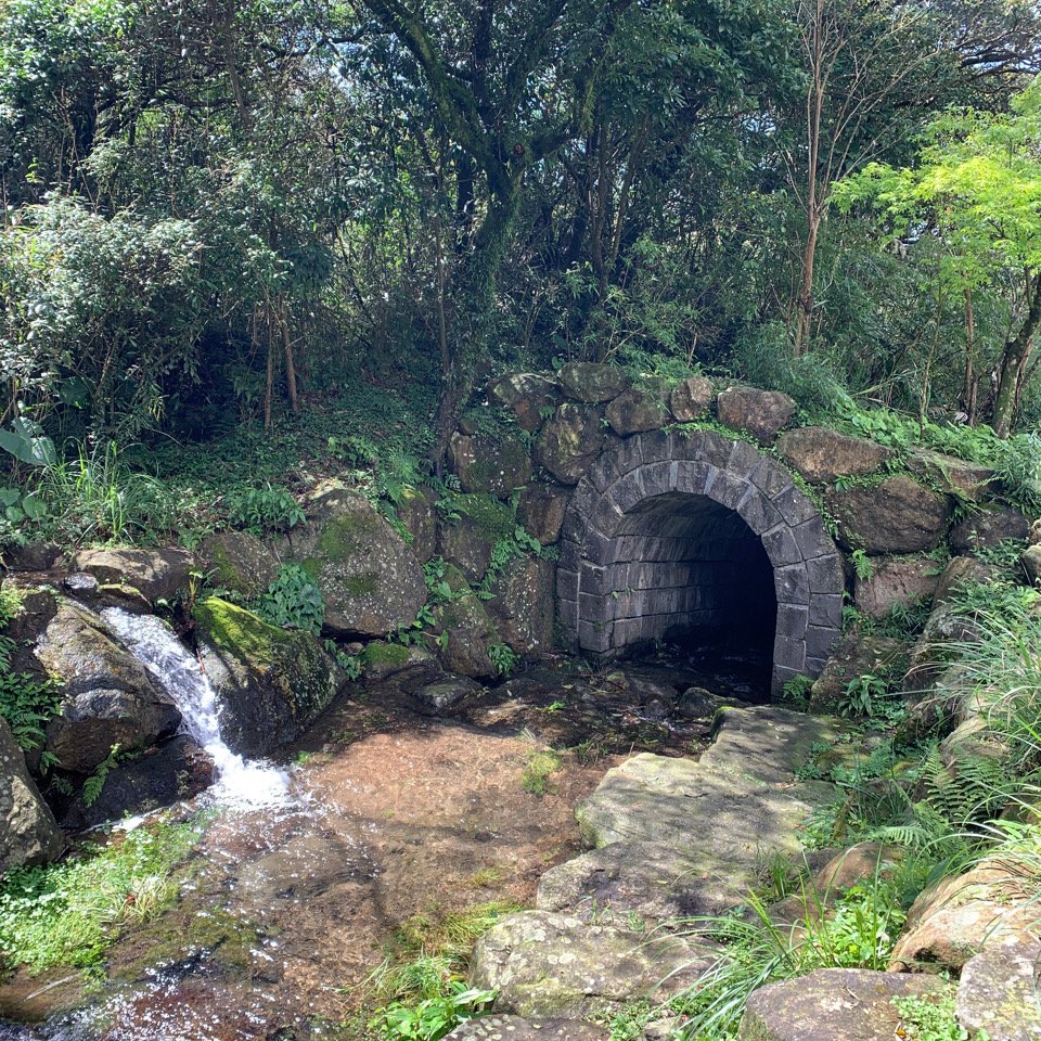 台北大縱走第二段_1634998