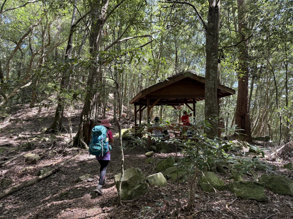 波津加山 20250914_2893373