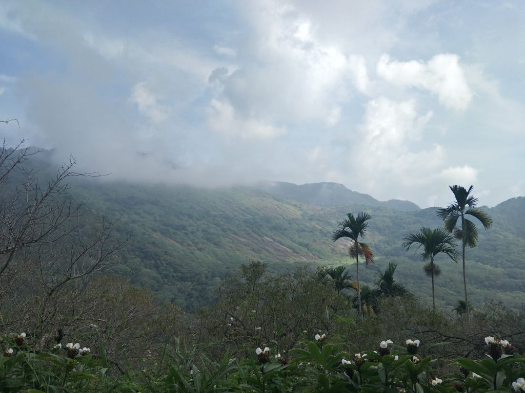 2018 09 06 九份二山步道_400081