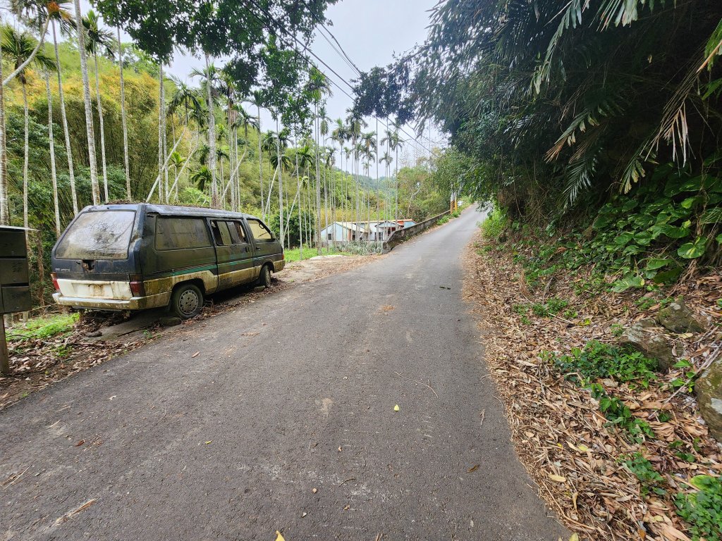 20250329東坑山八角崠山打鹿坑山_2798874