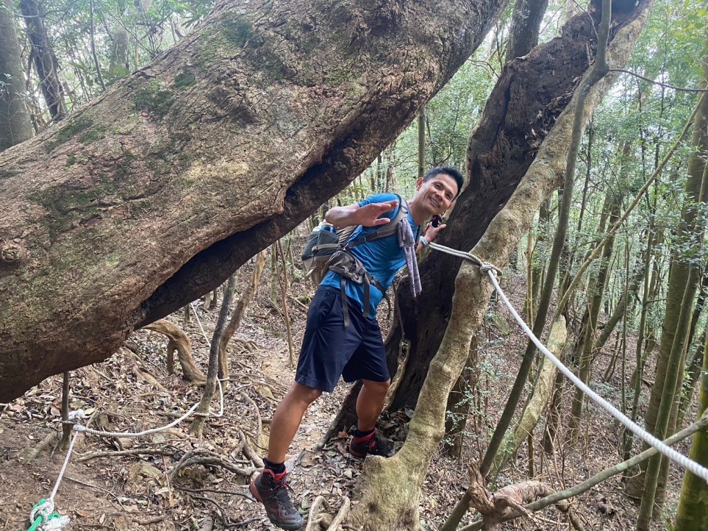 阿冷山【好酒沉甕底的隱藏版魔王】_2649286