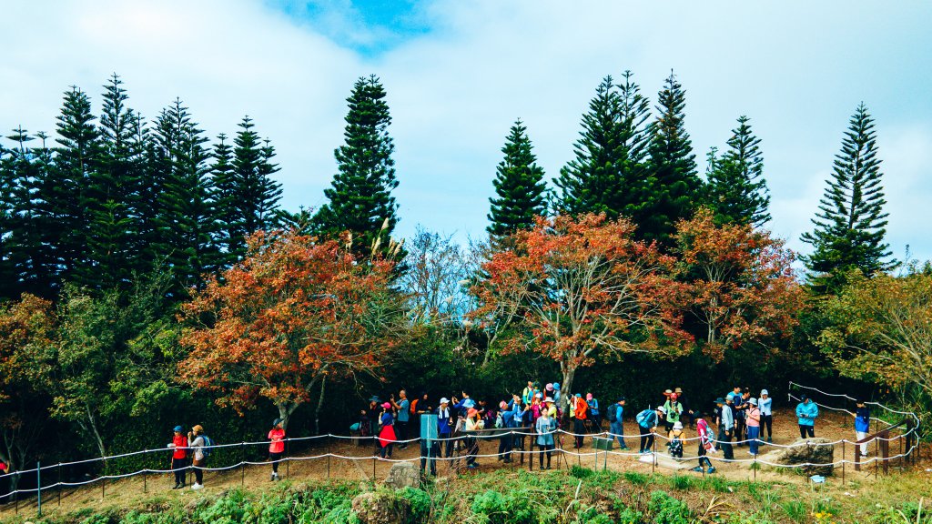 馬那邦山_2387018