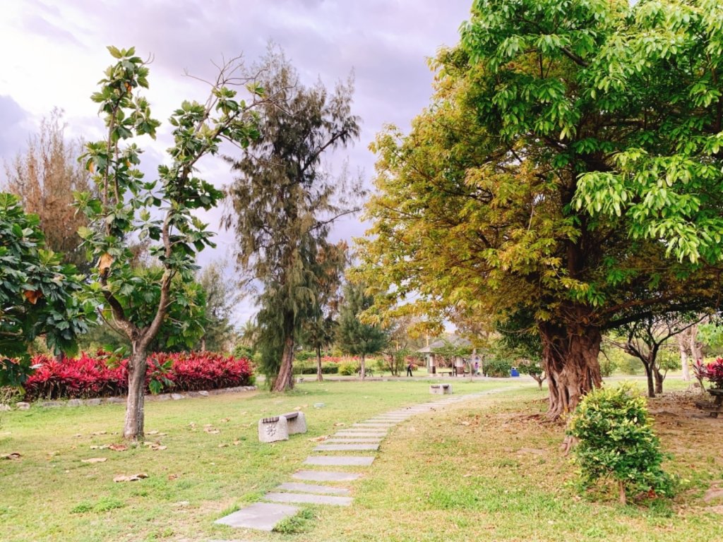 台東森林公園_552391