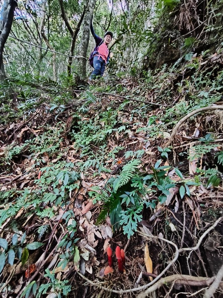 貴妃那結P 型縱走1131012_2621925