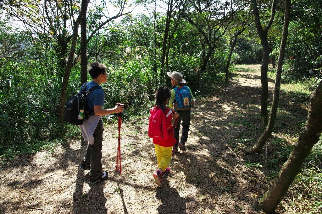 親子健行-大嶺古道飛越桃源谷_684091