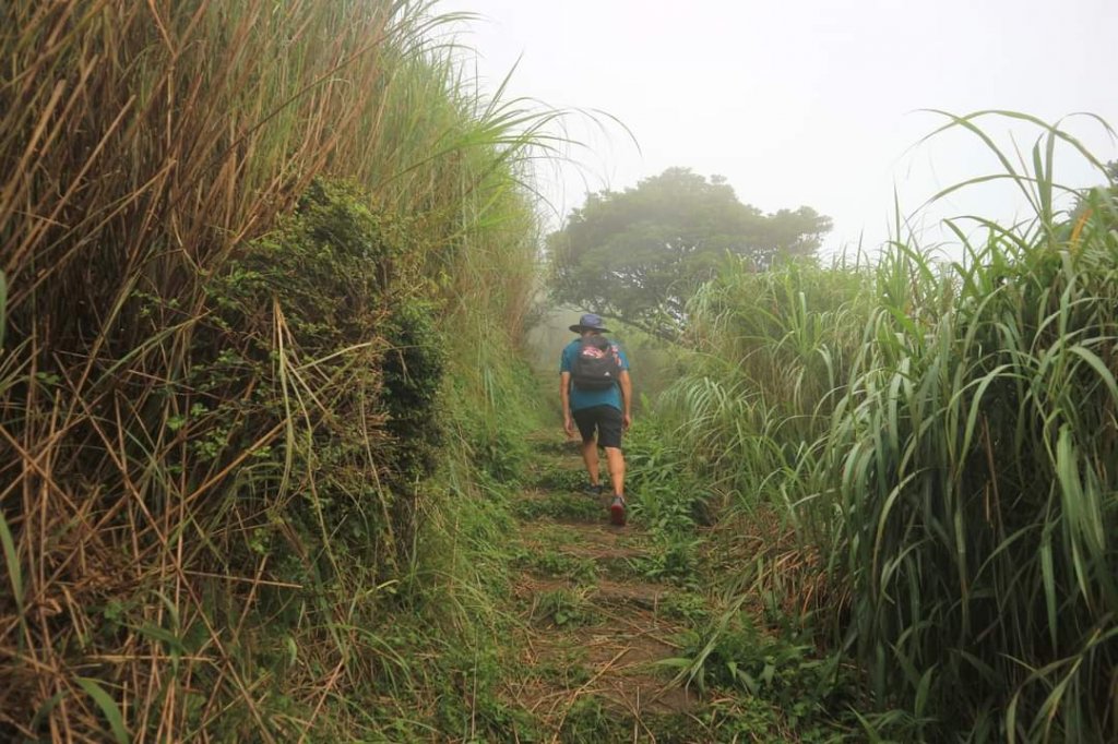 〔陽明山 〕面天山 向天山 向天池 二子坪步道。火山口湖 獨特生物蚌蟲 向天蝦（豐年蝦）_2235426