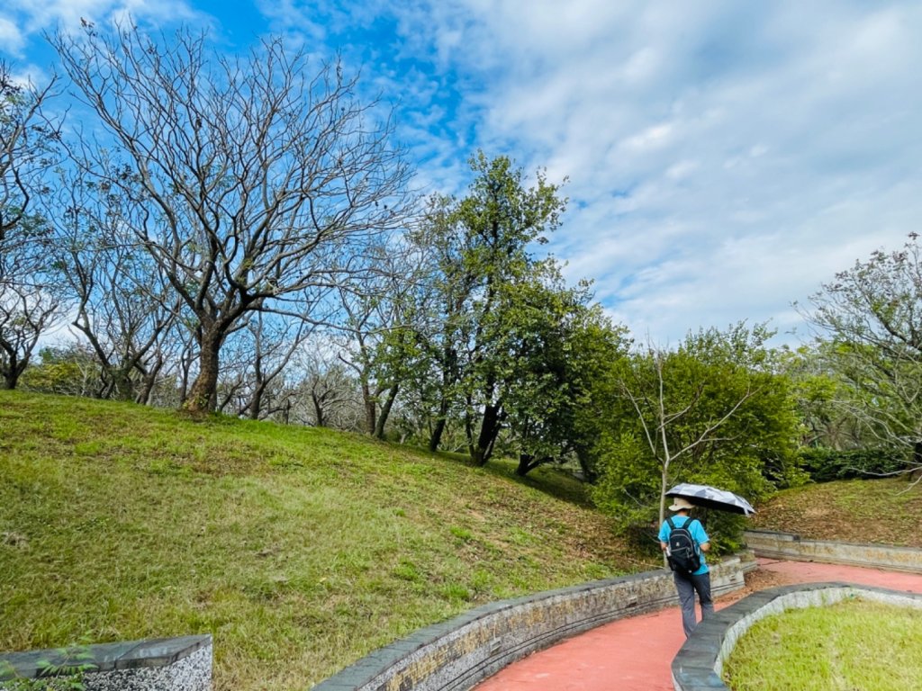 1111126台中都會公園_1928137