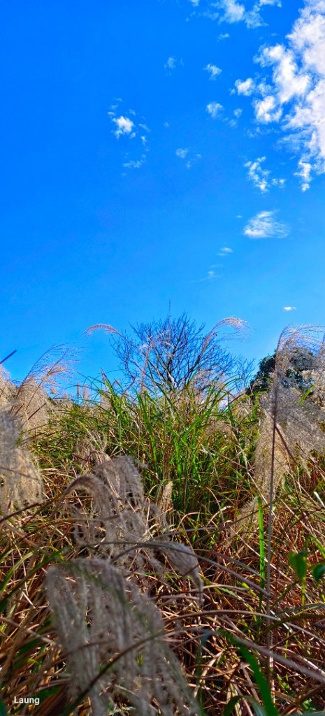 磺嘴山 112.01.14_1994021