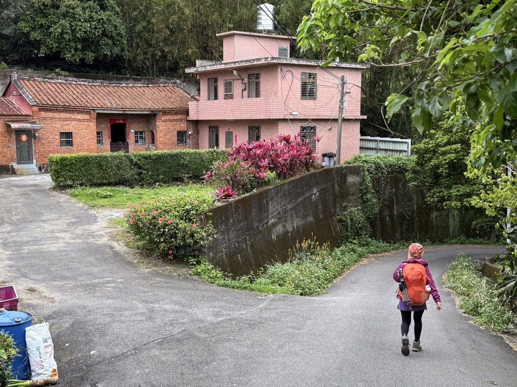 淡水搭渡輪上觀音山+占山O繞 搭公車接渡輪回淡水-20250318_2770657