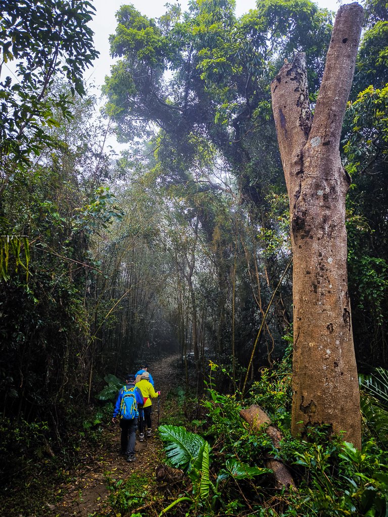 2025-03-08 汶水三山：金童山、汶水山、玉女山 連走_2736503