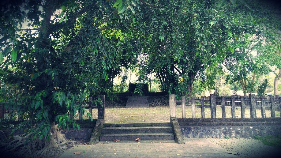 2019 3/17 林田神社_872831