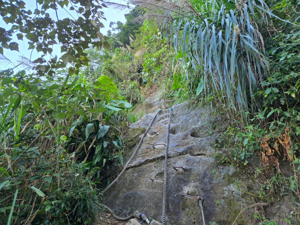 九龍山連走大凍山_2955707