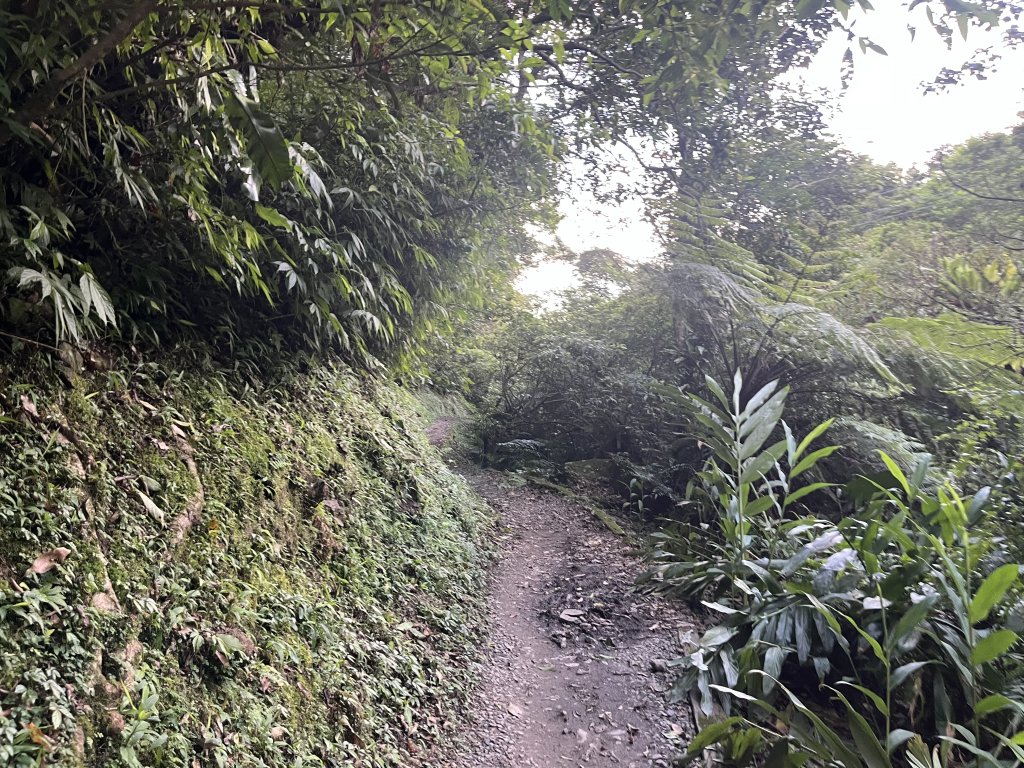 [山頂鳥40周年會員大縱走-08/15] 2024_0715 銀河洞越嶺登山步道_2556783
