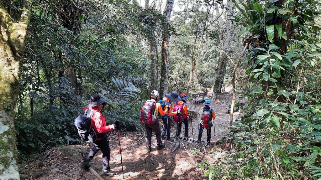 《苗栗》馬那邦山｜ 上湖線＞天然湖O巡20210220_1277346