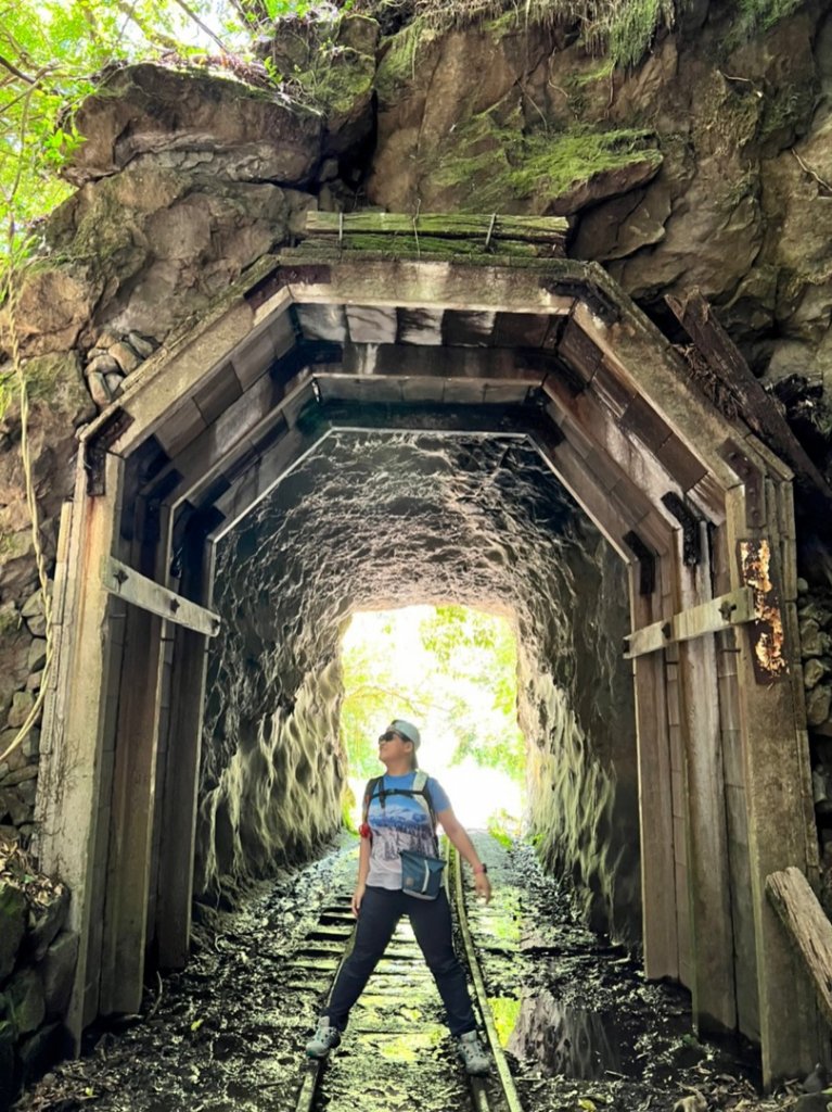 阿里山祝山日出，塔山步道，眠月線封面圖