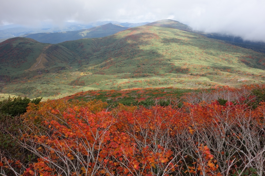 日本東北紅葉名山：秋田駒ヶ岳_63973