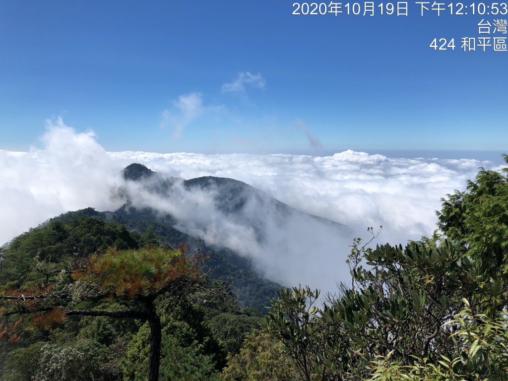 鳶嘴稍來國家步道季秋縱走_1144470