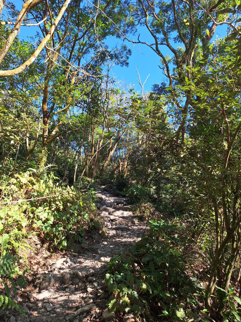 日湯真山20260104_2978564