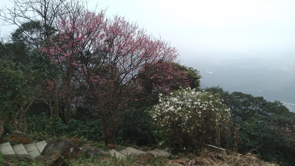 2020.2.28大尖山步道之旅_1411200