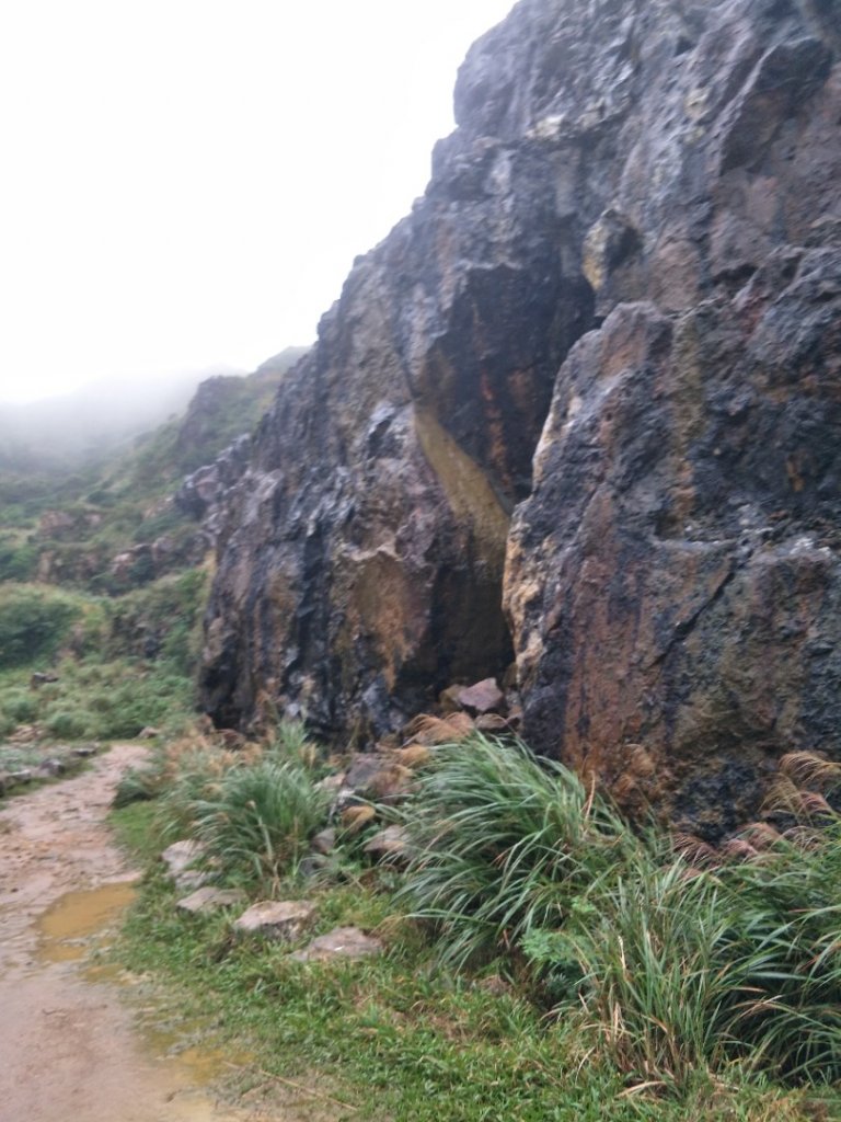 金瓜石地質公園步道_1519362